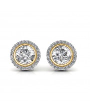 The Elegant Circ Earrings