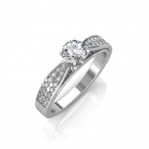 The Dual Band Solitaire Ring