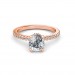 The Arlo Ring