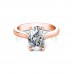 The Arlo Ring