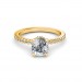 The Arlo Ring
