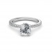 The Arlo Ring