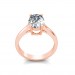 The Arlo Ring