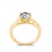 Nicole Ring