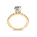 The Arlo Ring