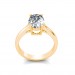 The Arlo Ring