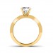 The Revrie Ring