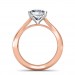 0.70 carat 18K Gold - Serenity Engagement Ring