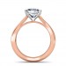 0.30 carat 18K Gold - Serenity Engagement Ring