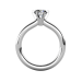 0.50 carat 18K White Gold - Radhika Engagement Ring