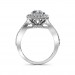 The Arina 2D Halo Ring