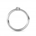 The Eleanor Ring