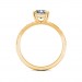 The Saira Ring