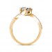 The Maia Ring