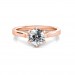 Nicole Ring