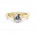 Nicole Ring