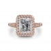 The Arina 2D Halo Ring