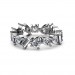 The Eternal Sparkle Band - Platinum