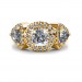 The Anvi Ring