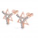 The Tarika Star Earrings