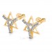 The Tarika Star Earrings