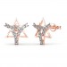 The Tarika Star Earrings