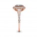 The Arina 2D Halo Ring
