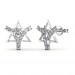 The Tarika Star Earrings