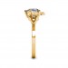 The Savannah Ring
